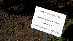 Kraljevski dvor Tajne Dvorskog kompleksa: Titovo uživanje u vesternima i kraljeva "soba šapata" 3