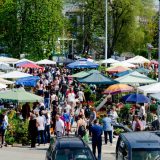 Počinju Novosadske cvetne pijace: Bogat izbor sadnica 1