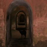 Indija (4): Svi isprepleteni putevi 14