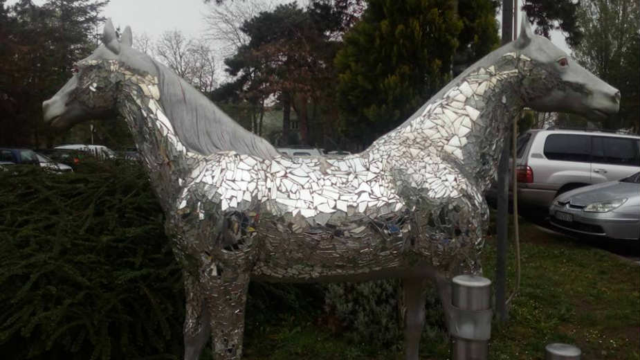 Novi Sad: Između muzeja i dobrog vina 1 Novi Sad: Između muzeja i dobrog vina 1