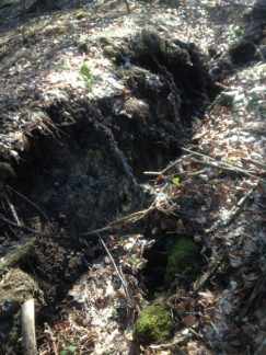 Pokrenulo se klizište oko Zaovinskog jezera (FOTO) 7