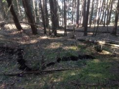 Pokrenulo se klizište oko Zaovinskog jezera (FOTO) 8