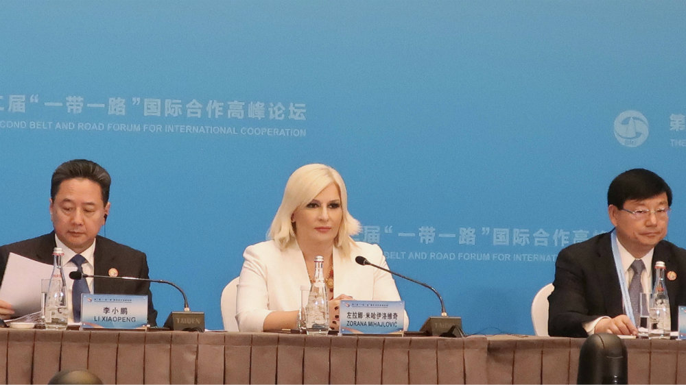 Mihajlović: Borba protiv porodičnog i partnerskog nasilja obaveza svih nas 1