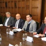 Vukosavljević sa akademicima o strategiji razvoja kulture 6