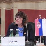 Gojković: Srbija spremna za nastavak dijaloga iako druga strana nije ispunila obaveze 2