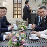 Mihajlović: Cenim srčanost Marinike Tepić, ali građani od toga nemaju ništa 5