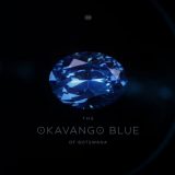 Najveći plavi dijamant ikad pronađen u Bocvani (VIDEO) 5
