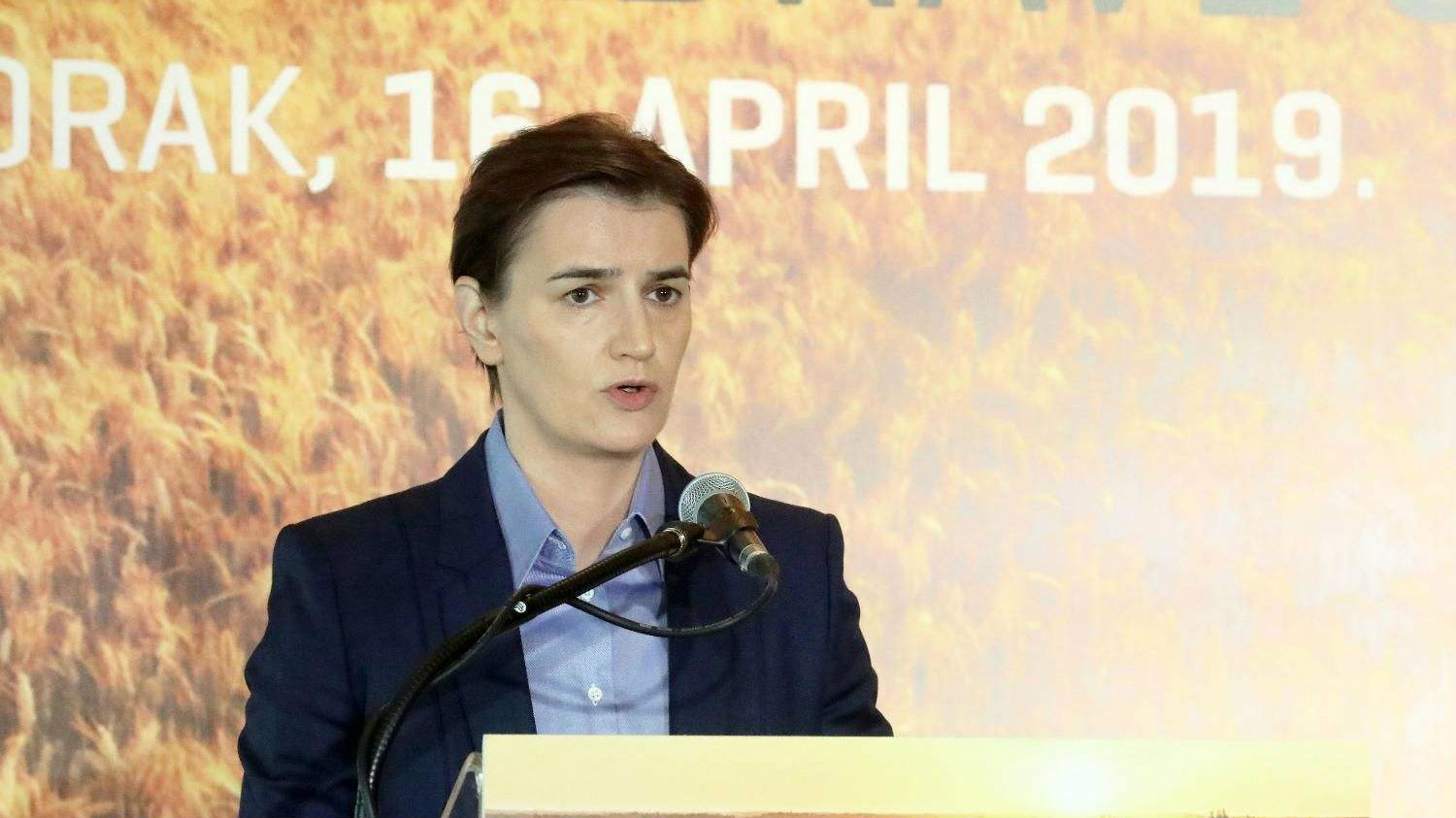 Brnabić razgovarala sa predstavnicima VSS 1