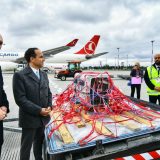 Beloglavi sup "Dobrila" uspešno stigao u Srbiju 7