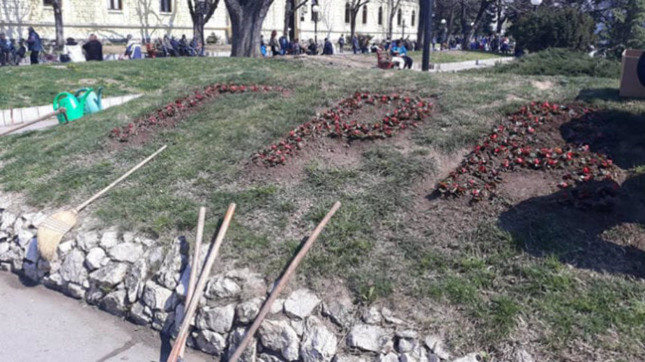 U 2019 godini JKP „Timok održavanje“ planira da za rasad utroši 4.000.000 dinara 1