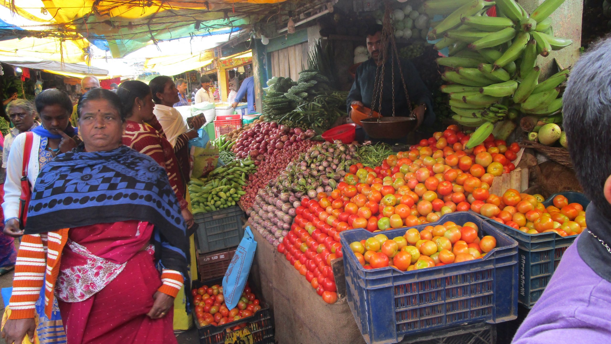Indija: U gradu pročišćenja 1 Indija: U gradu pročišćenja 1