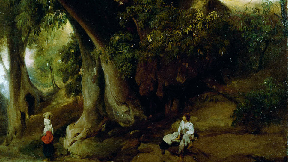 Priroda kao umetnost 1