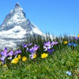 Kako klimatske promene utiču na okeane i kriosferu? 9