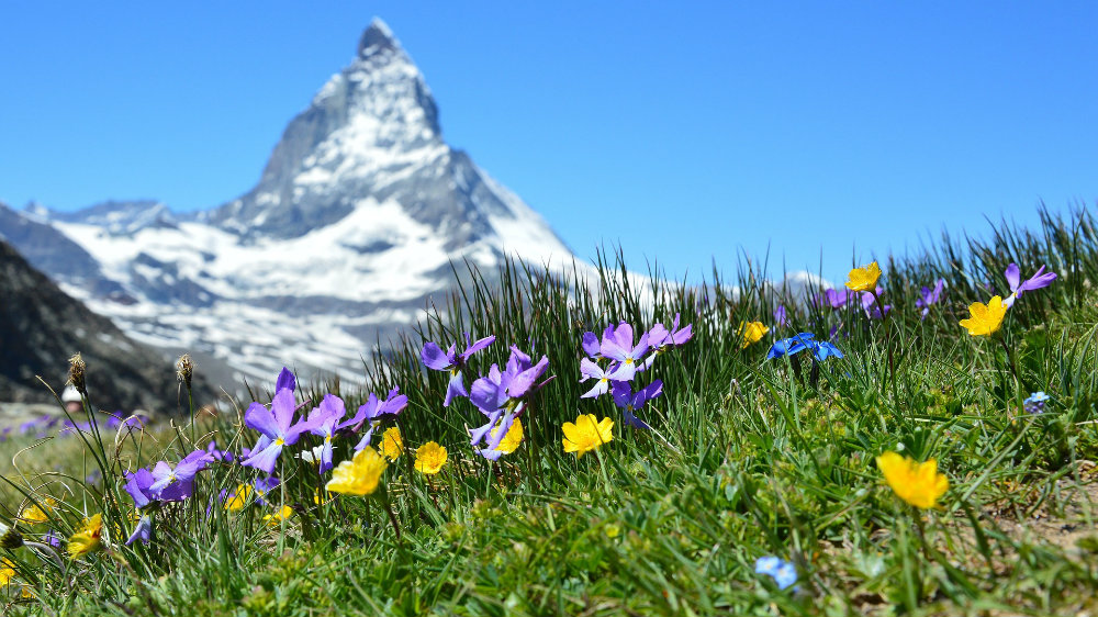 Kako klimatske promene utiču na okeane i kriosferu? 1