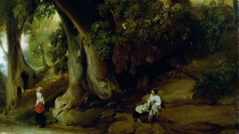 Priroda kao forma umetnosti 1