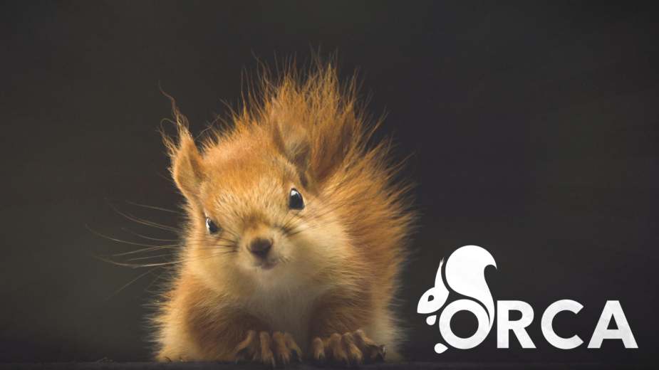 Otvoren konkurs za prve stanovnike Studentskog doma za dobrobit životinja i zaštitu prirode 1