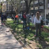 Građani u znak protesta sadili drveće 6