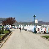 Donji Milanovac: Ove godine više od 170 turističkih kruzera 15