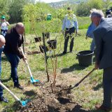 Povodom Dana planete Zemlje posađeno drveće na Adi Huji 14