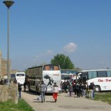 Za Beograd četrdesetak autobusa iz Smedereva 5
