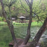 Država ne mari za restituciju, izvršna rešenja mrtvo slovo na papiru 8