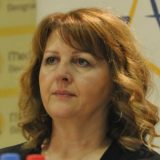 Grubješić: Najvažnija tema rat u Ukrajini i pozicioniranje Srbije 14