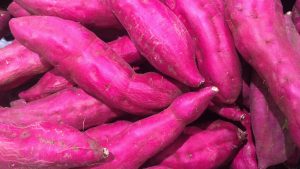 Voće i povrće kojim možete da hranite psa 2