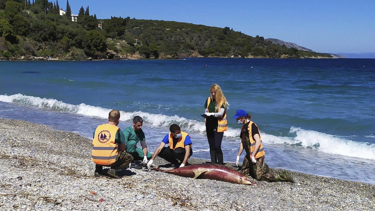 Crvena lista: 35.765 vrsta u opasnosti od izumiranja 1