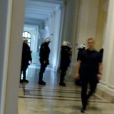 MUP demantovao Mariniku Tepić: U Skupštini nije bilo nijednog navijača 8