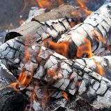 Apel MUP-a: Oprezno sa paljenjem vatre u prirodi za Prvi maj 13