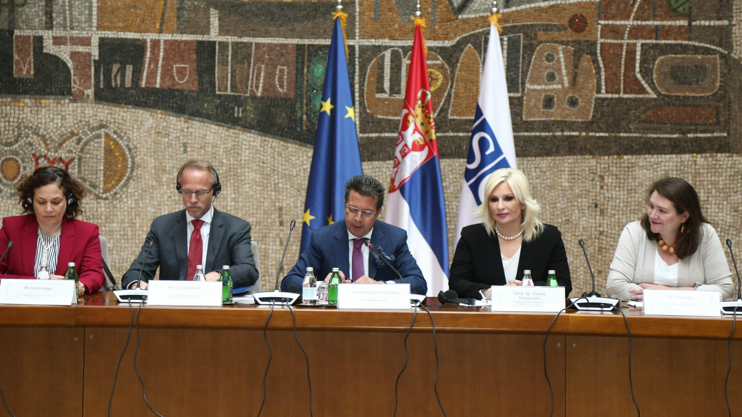 Mihajlović: U Jugoistočnoj Evropi 16 miliona žena trpi nasilje 1