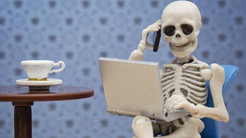 Skeleton in front of a laptop