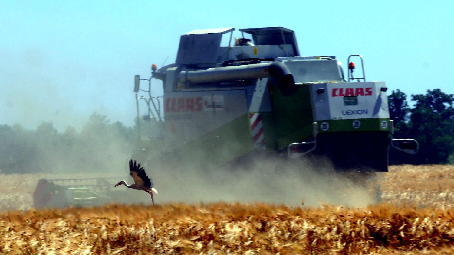 Jakovljević (Dveri): Momirović neka proda dedovinu, srpska zemlja nije na prodaju 1
