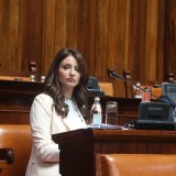 Kuburović: Ustavni amandmani čekaju novu Skupštinu 6