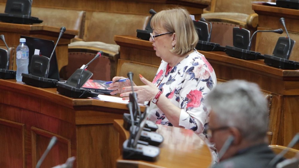 Radeta Arsiću: Ranije ste kritikovali zakone, kada budete glasali za njih stavite gumenu rukavicu 1