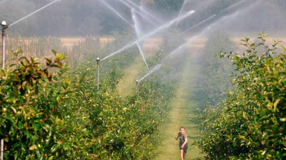 U Srbiji osigurano 10 odsto useva, u Austriji - 70 1