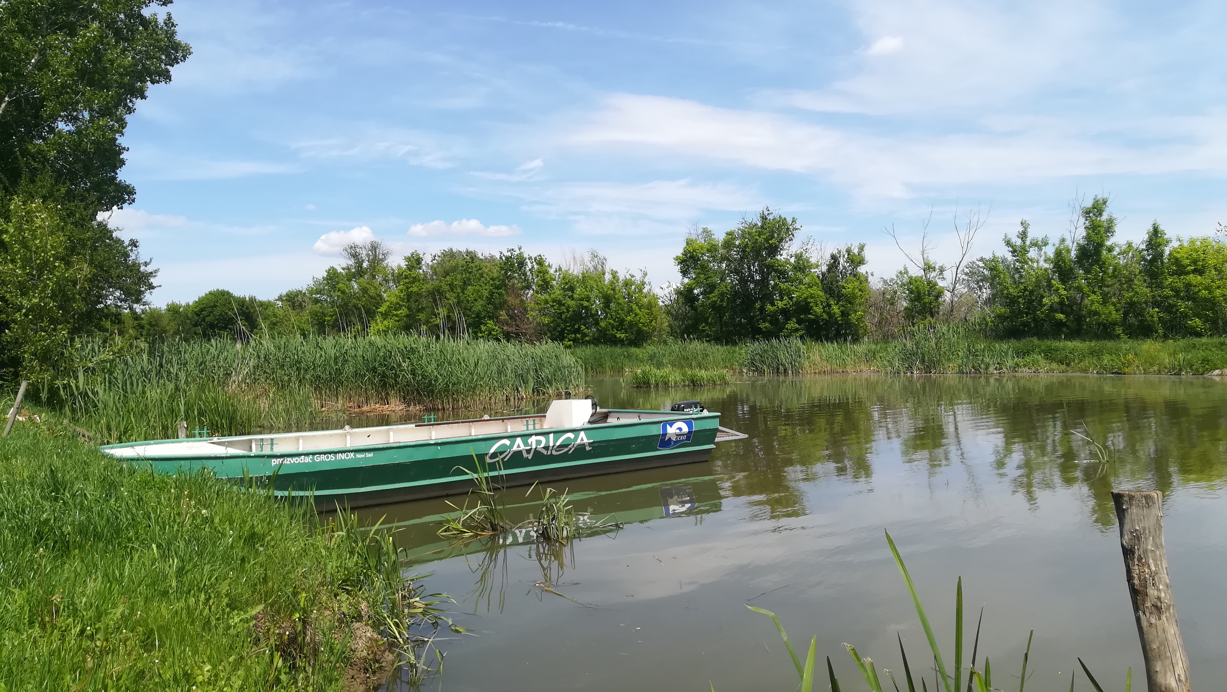 Vojvođanska prolećna rapsodija 5