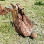 Vojvođanska prolećna rapsodija 13