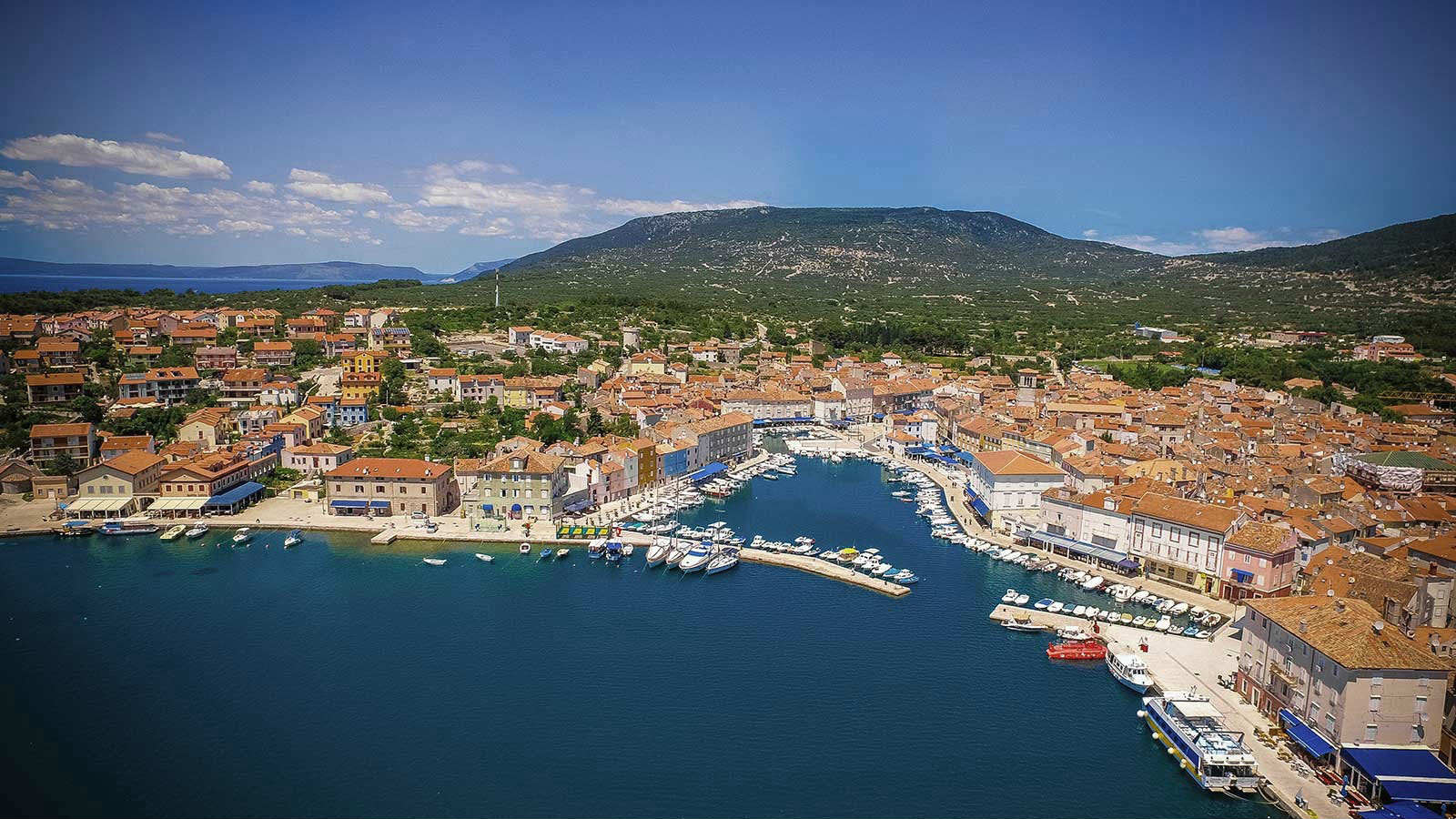 Žalfije iz sela Mrtvačka 1 Žalfije iz sela Mrtvačka 1