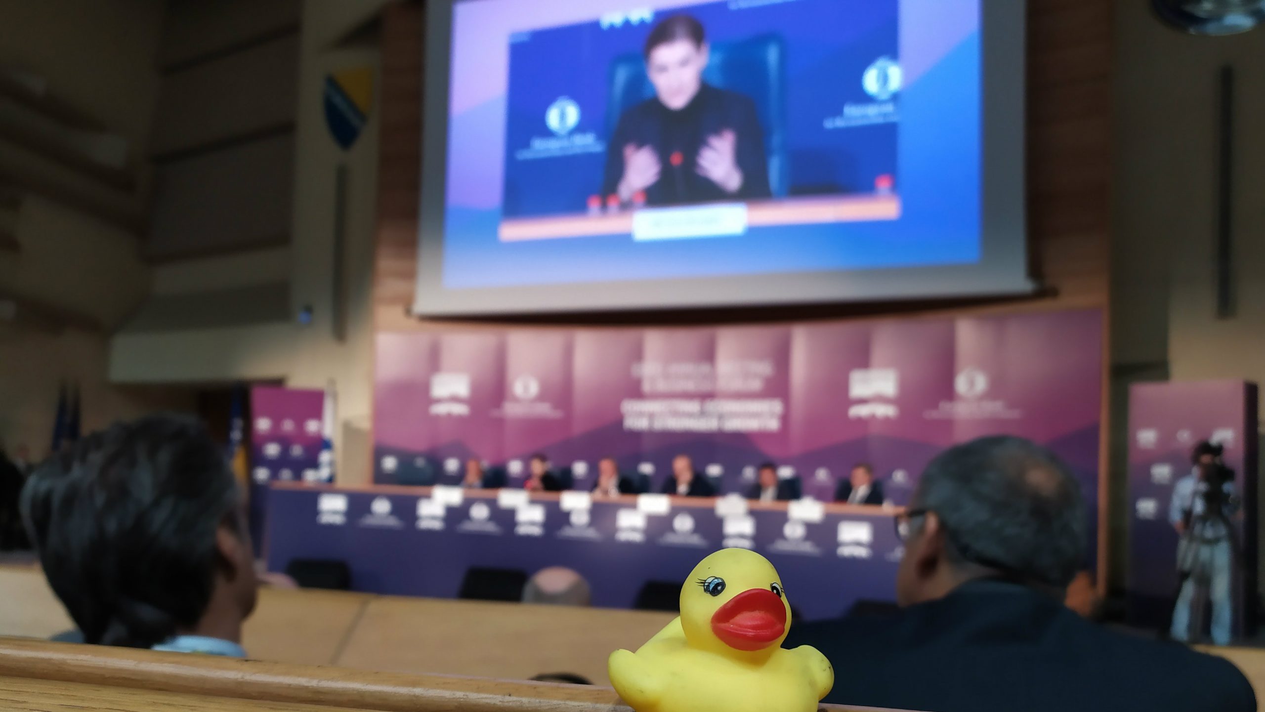 NDBG: Vlast koristi kredite Evropske banke za obnovu i razvoj za finansiranje štetnih projekata 1