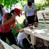 Volonteri uredili beogradsku šumu Stepin Lug u akciji "Naš Beograd" 3