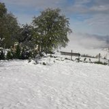 Majski sneg uništio maline u Moravičkom i Zlatiborskom okrugu, ima ga i u višim delovima Ivanjice 6