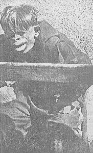 Primerak čoveka – majmuna iz 1939. godine 3