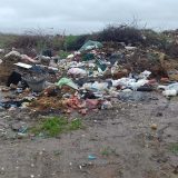 Ko je odgovoran za divlju deponiju u Deliblatu? 15