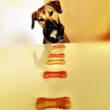 Razlozi zbog kojih je vaš ljubimac stalno ekstremno gladan 9