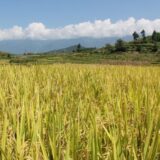 Lovci poginuli u minskom polju 1