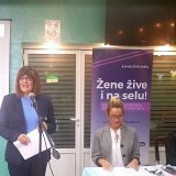 Gojković: Pred porodičnim nasiljem se često zatvaraju oči u gradovima, teže je u selima 12