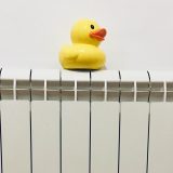 NDBG: Nadležni da pod hitno iznesu sve informacije o slučaju davljenja Markovića 3