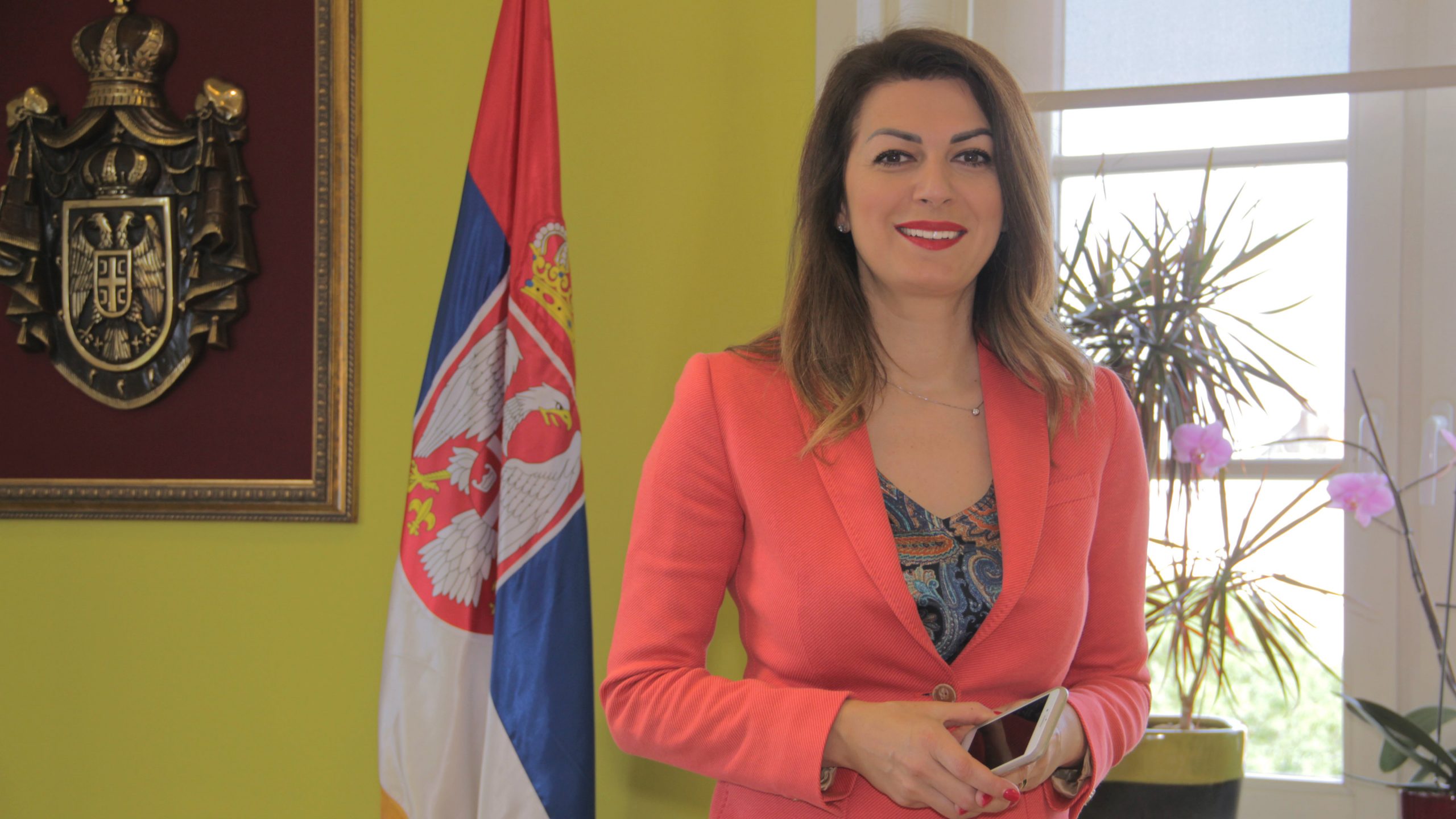 Matić: Standardizacija digitalnog obrazovanja je prioritet 1