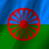 Šajn: Romska partija direktno da učestvuje u pregovorima vlasti i opozicije 9